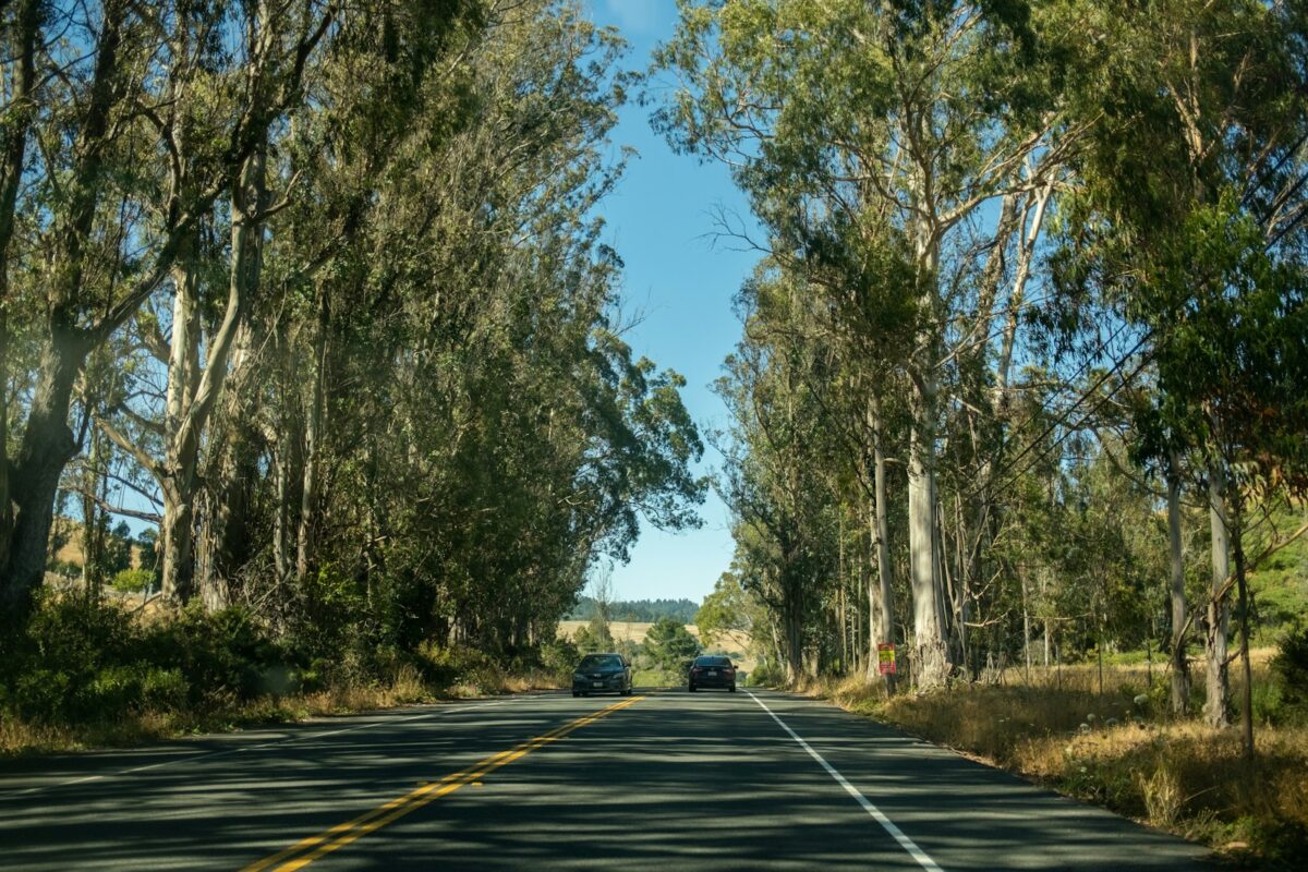 Felony DUI in California